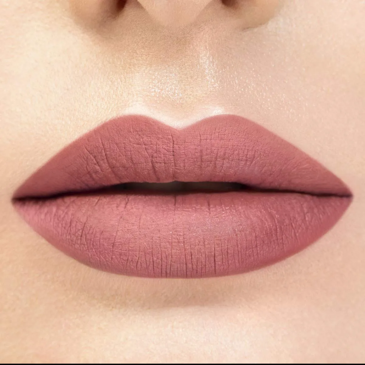 Wakeup Cosmetics Petal Veil 02 Blushing Rose rossetto liquido matte